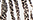 Farbezebre leo für Leggings (ELG3798) von Antigel