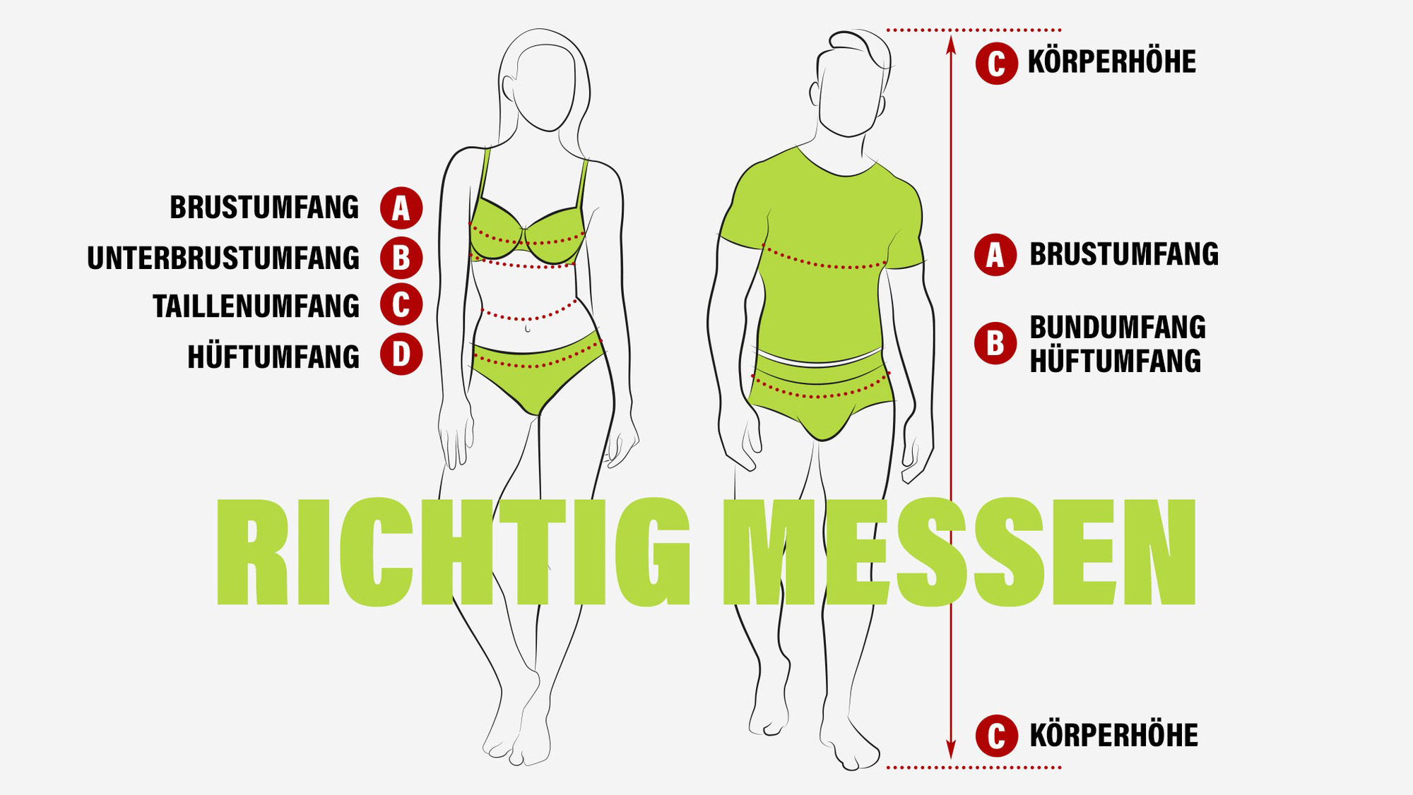 Illustration: wo wird Brustumfang, Unterbrustumfang, Taille und Hüfte gemessen?