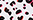 Farbewhite animal für Top & Legging Set (YI2922523) von DKNY