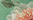 Farbegreen für Beach Bag Tokyo Bouquet (51273275) von Pip Studio