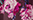 Farbeaveu petale für Bügel-BH, Wohlfühlschale (BCH6143) von Lise Charmel