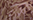 Farbeleaves brown für Brazilbrief Red 2304 (109257) von Olaf Benz