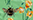 Farbebee für Bee Careful Hipster (HU0048H) von Happy Undies