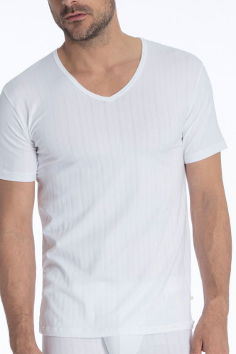Abbildung zu V-Shirt (14986) der Marke Calida aus der Serie Pure & Style