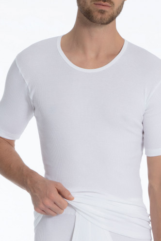 Abbildung zu T-Shirt (17410) der Marke Calida aus der Serie Cotton 2:2