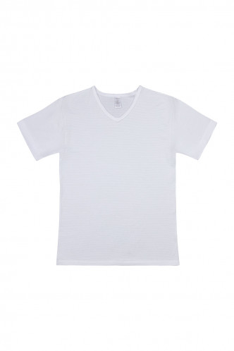 Abbildung zu V-Shirt (700257) der Marke Ammann aus der Serie Cotton & More