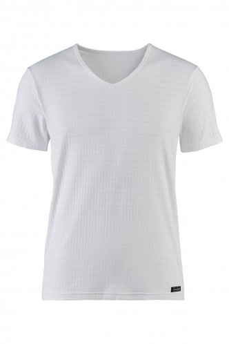 Abbildung zu V-Shirt (22062165) der Marke Bruno Banani aus der Serie Check Line 2.0