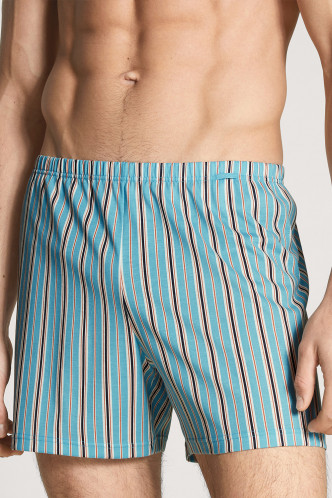 Abbildung zu Boxer Shorts blue (24489) der Marke Calida aus der Serie Prints