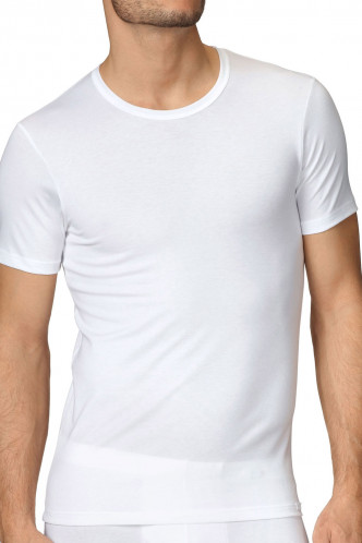 Abbildung zu T-Shirt (14661) der Marke Calida aus der Serie Evolution