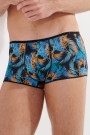 HOM Temptation Trunk Chico